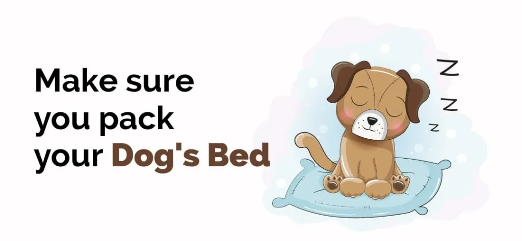 make sure you pack your dogs bed