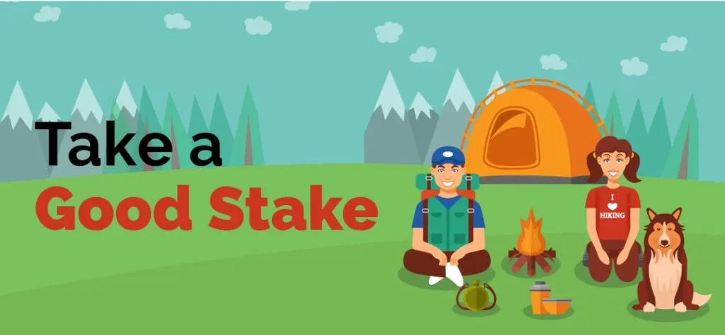 take a good stake