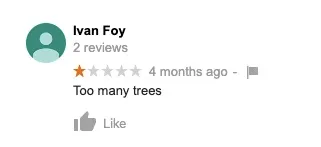 Too many trees review