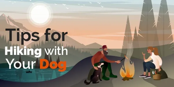 Tips for hiking with your dog