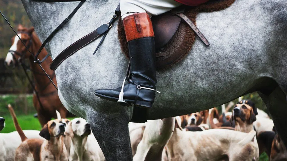 National Trust members vote to ban trail hunts on its land