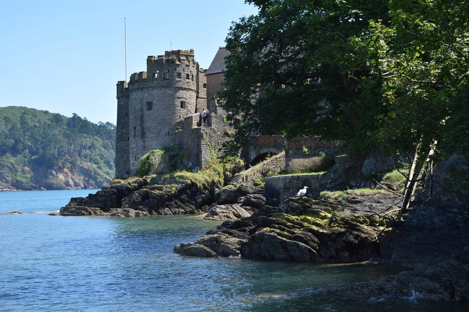Exploring Devon's Magnificent Seven: A Guide to the Top Castles in the Region
