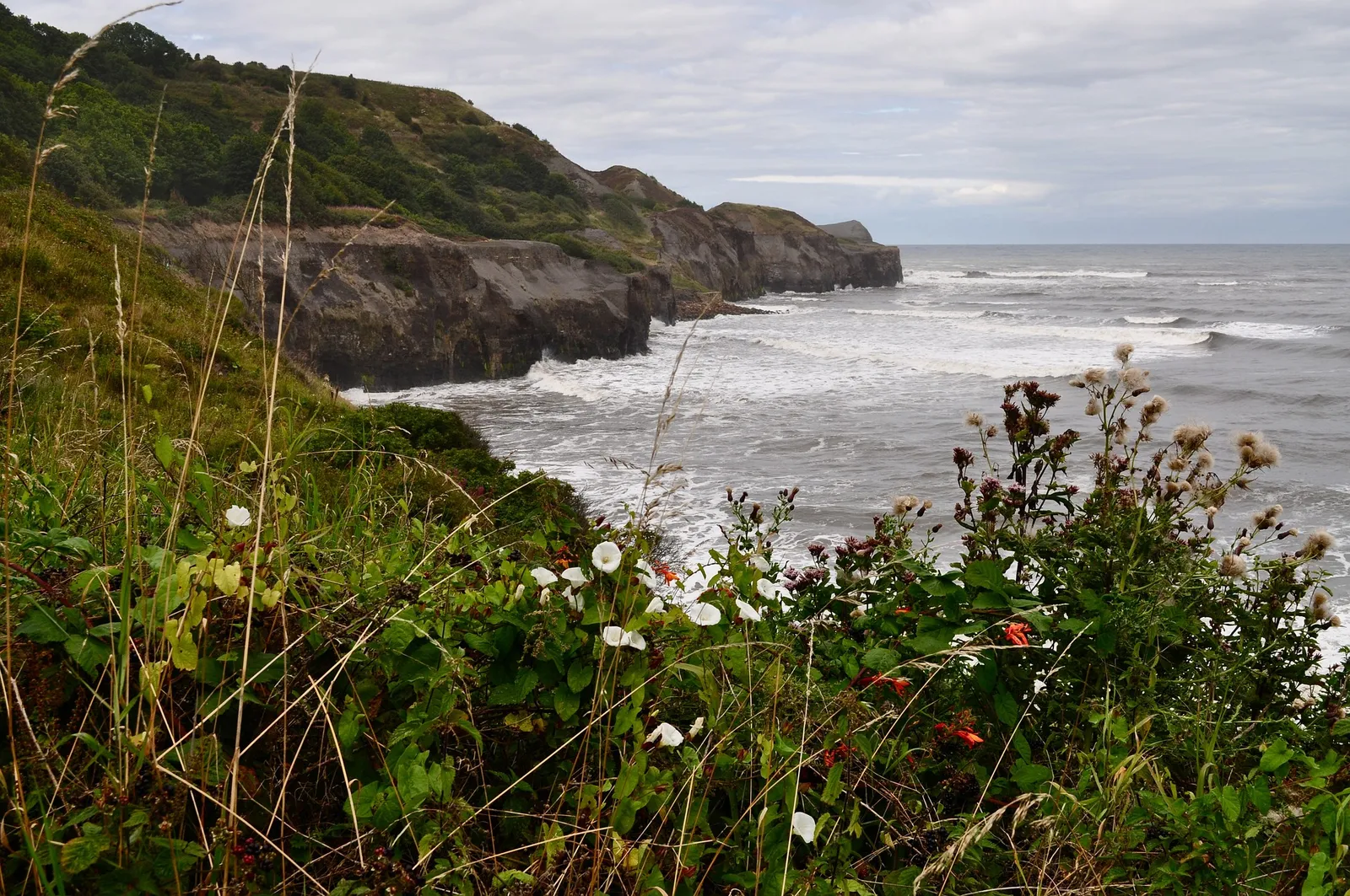 Discover the Magic of North Yorkshire Moors: A Guide to Unforgettable Walks