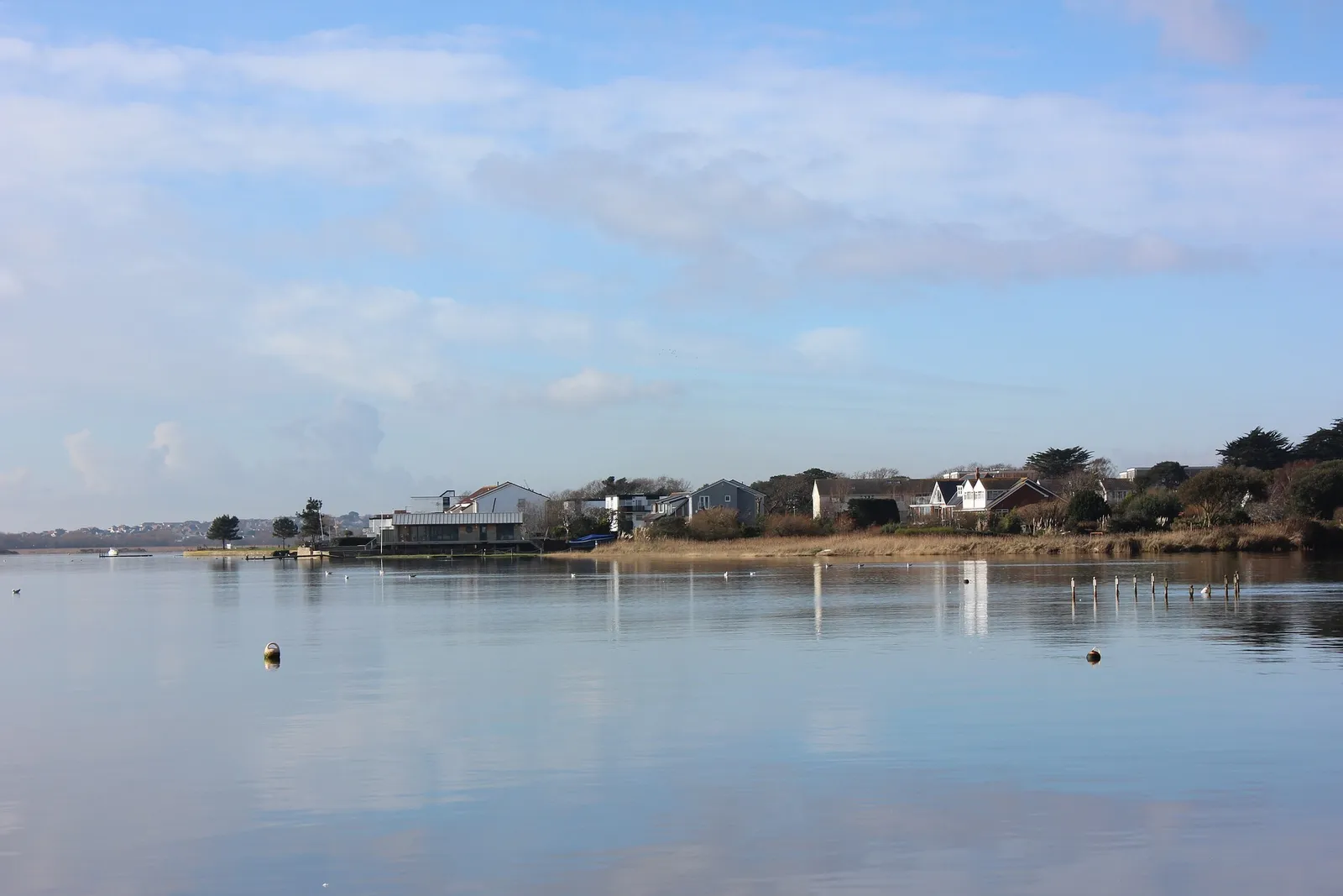 Coastal Escapes in the New Forest: Discover Pristine Beaches