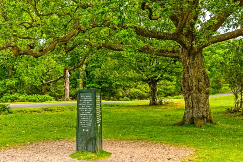 Unveiling the Mysteries of the Rufus Stone: A Portal to the Past in the New Forest