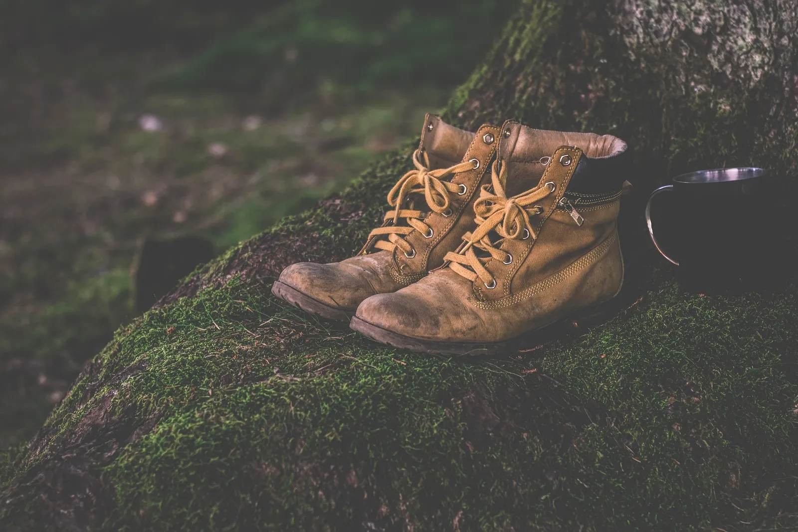 Footwear for the Trails: Boots or Shoes for Your Hiking Journey