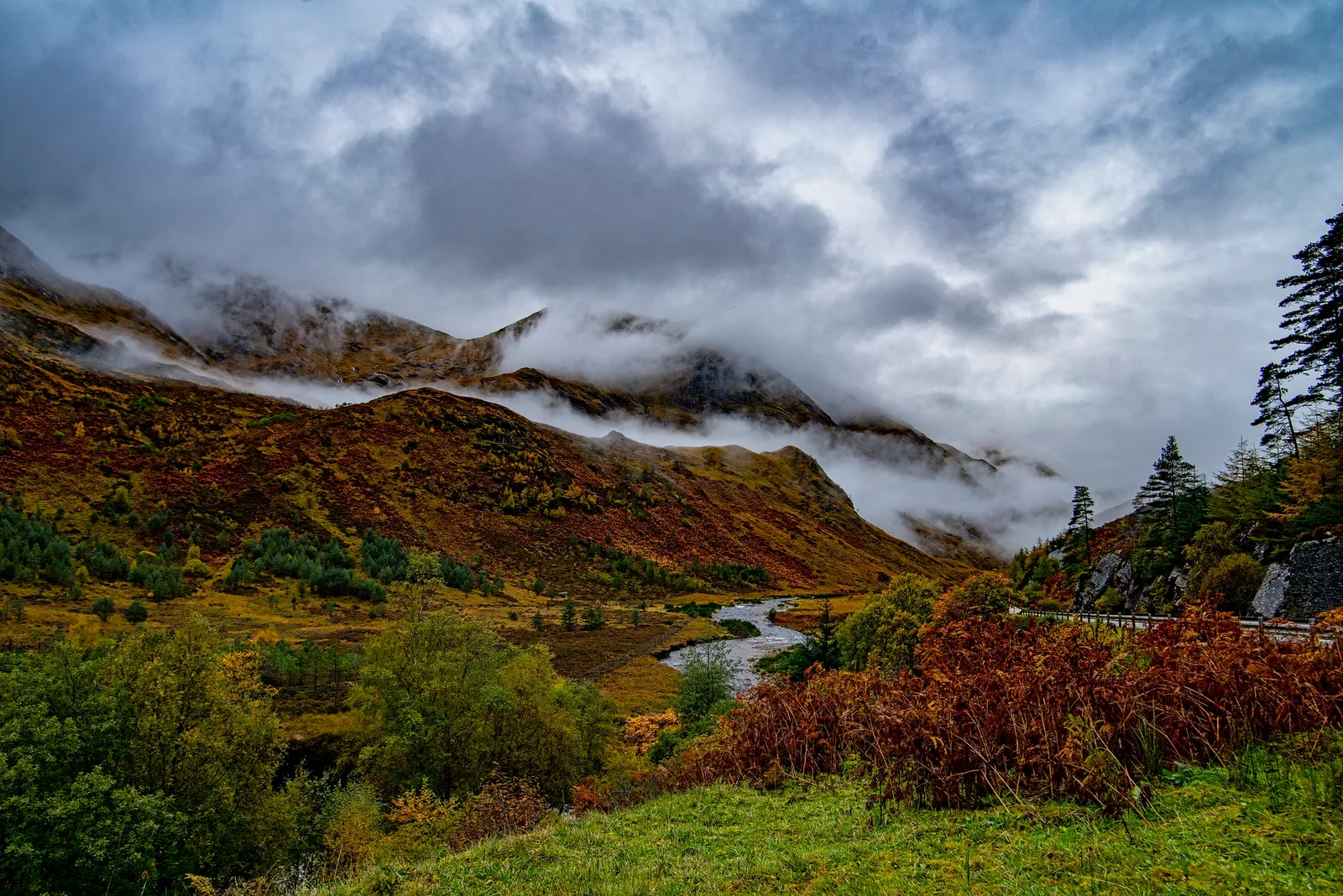 Cairngorms National Park: Premier Hiking Trails Unveiled