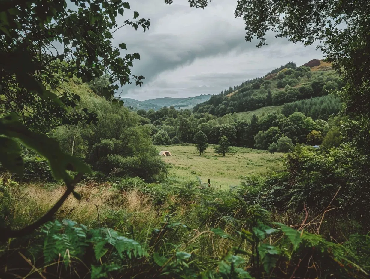 Preparing for a Camping Trip to a Nature Reserve