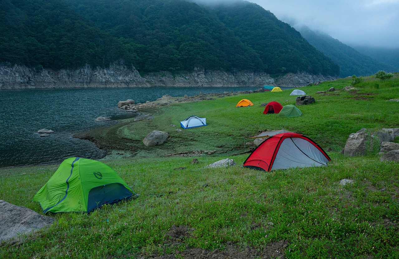Camping Pests in Britain: What Bites, What Stings and What to Do